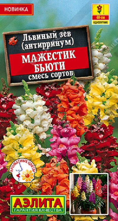Семена Львиный зев (Аэлита) Мажестик бьюти