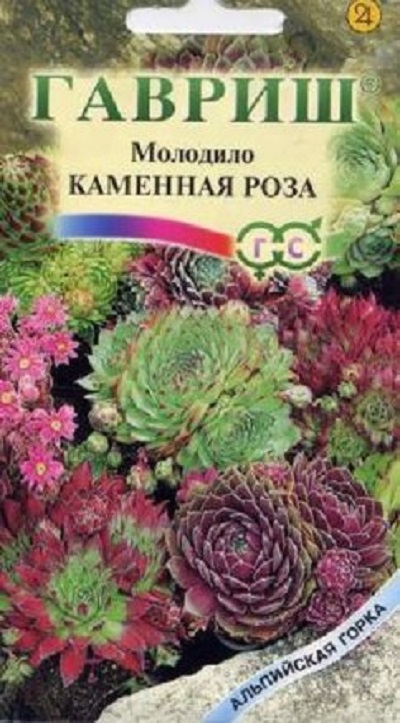 Семена Молодило (Гавриш) Каменная роза смесь 0,01г