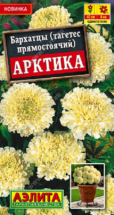 Семена Бархатцы Арктика (Аэлита)