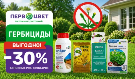 СЦ Первоцвет — официальный сайт