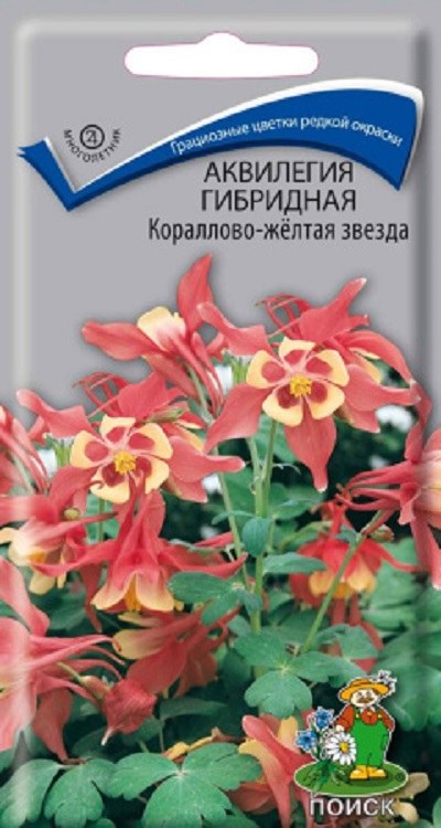 Семена Аквилегия (Агрос) Кораллово-желтая 0,1г