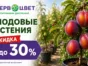 Акция! Скидки до -30% на плодовые растения!