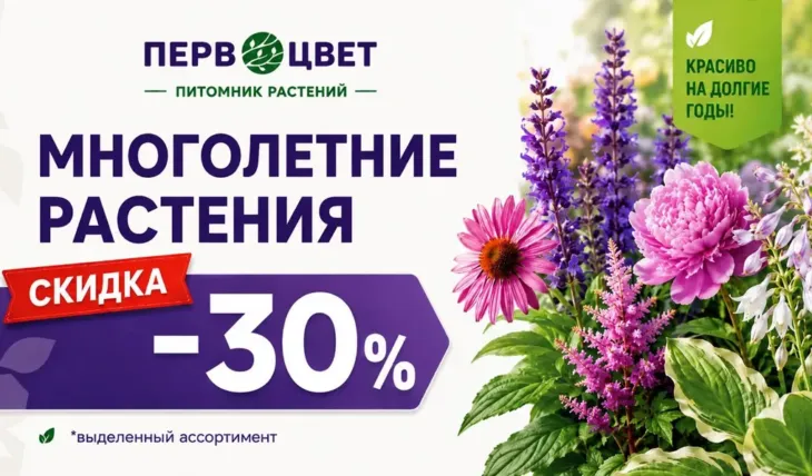 Акция!  Скидка до 30% на многолетние растения в Первоцвет!