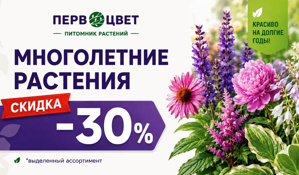 многолетние скидка до 50 сайт