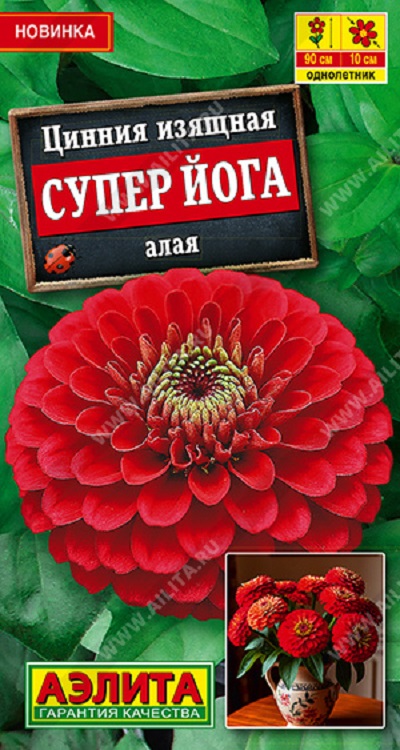 Семена Цинния Супер йога (Аэлита) алая