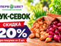 ЛУК-СЕВОК СО СКИДКОЙ 20%!