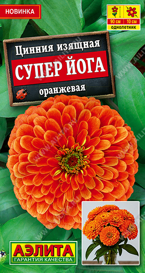 Семена Цинния Супер йога (Аэлита) оранжевая