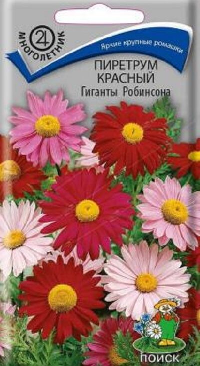 6a0cc8df27523cfc2885499fdcde7f35