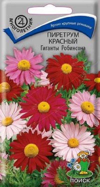 Семена Пиретрум (Поиск) Гиганты Робинсона смесь 0,2г