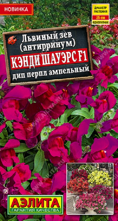 Семена Львиный зев (Аэлита) Кэнди Шауэрс дип перпл