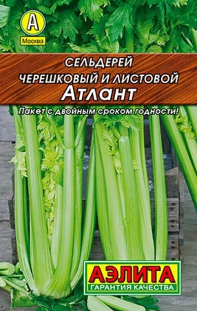 Семена Сельдерей лист.Атлант (Аэлита) Лидер 0,5гр.
