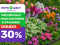 Акция! Скидка -30% на луковичные и многолетние в упаковке