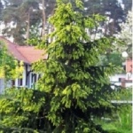 7bdfe1adfade0c0c5ae8569a738df2a4