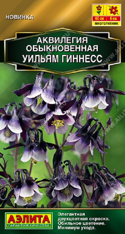 Семена Аквилегия (Аэлита) Уильям Гиннесс