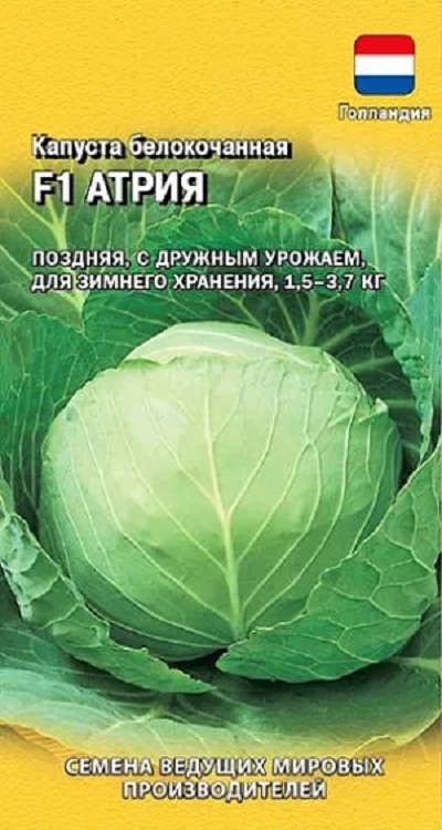 Семена Капуста б/к Атрия (Престиж) 10шт