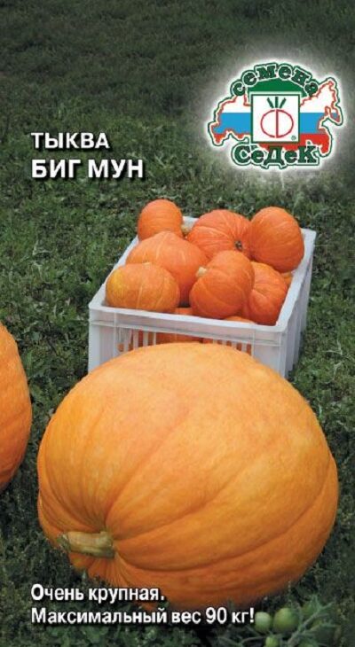 841f0c3ac3dbd3e2b7cc5c1e5d149c2f