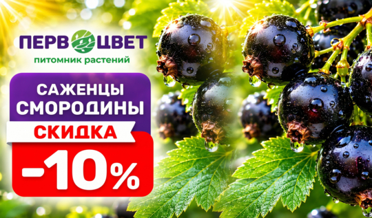 СЦ Первоцвет — официальный сайт