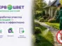 Обработка от клещей просто и эффективно