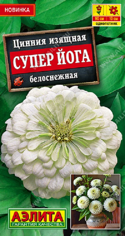 Семена Цинния Супер йога (Аэлита) белоснежная