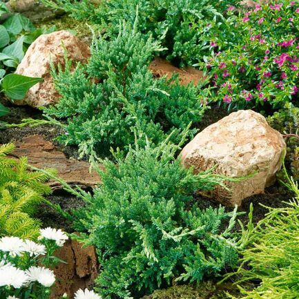 97e71ab070553888eb719aeb863aad1c