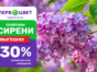 Акция!  –30% бонусами при покупке сирени  в Первоцвет!