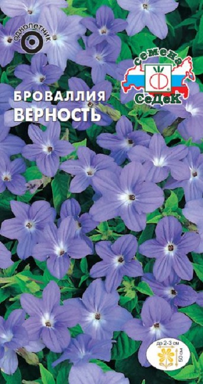 Семена Броваллия (Седек) Верность