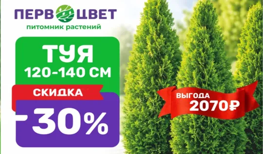 СЦ Первоцвет — официальный сайт