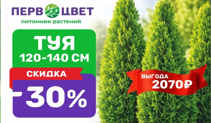 🌲 АКЦИЯ на тую Смарагд Н120-140 см! Скидка –30% ! 🌲