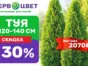 🌲 АКЦИЯ на тую Смарагд Н120-140 см! Скидка –30% ! 🌲