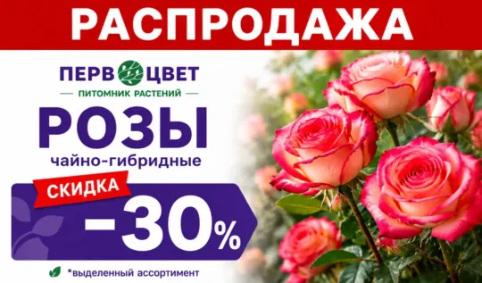 СЦ Первоцвет — официальный сайт