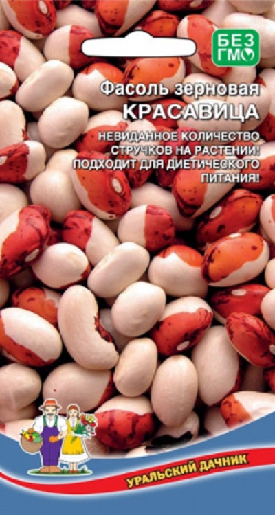 Семена Фасоль Красавица зерновая (УДачник) ц/п
