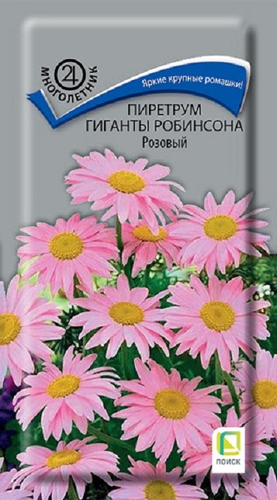 Семена Пиретрум (Поиск) Гиганты Робинсона Розовый 0,1г