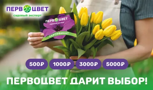 СЦ Первоцвет — официальный сайт