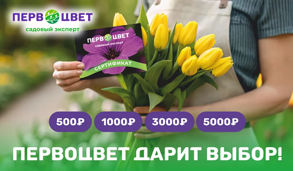 Подарочные сертификаты Первоцвет