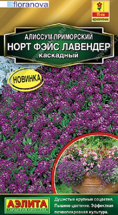 ad755b5522580a582a5af7342dd2fa3f
