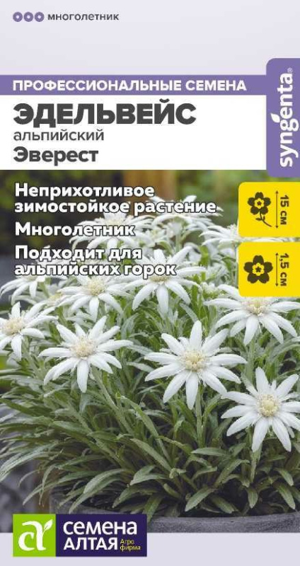 Семена Эдельвейс (Семена Алтая) Эверест 5шт