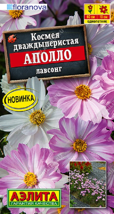 Семена Космея (Аэлита) Аполло лавсонг
