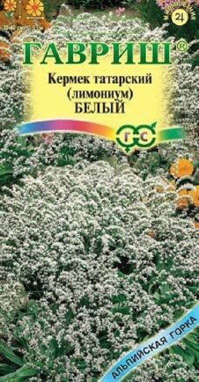 Семена Кермек (Лимониум) (Гавриш) Белый татарский 0,05гр