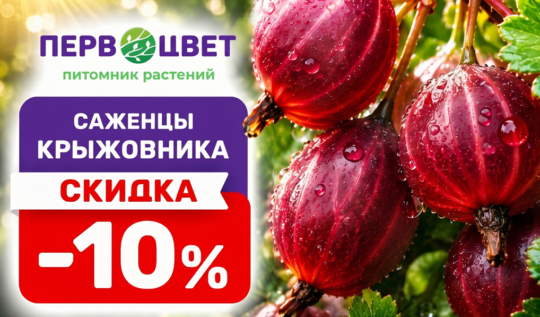 СЦ Первоцвет — официальный сайт