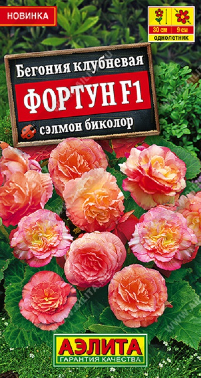 Семена Бегония (Аэлита) Фортун сэлмон биколор