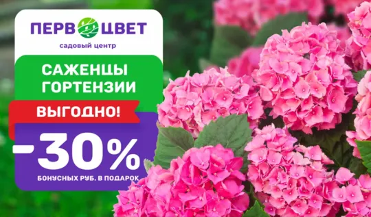 СЦ Первоцвет — официальный сайт