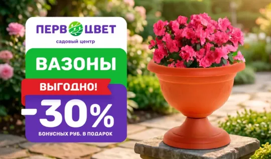 СЦ Первоцвет — официальный сайт