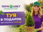 Внимание! В честь открытия сезона стартует акция! Дарим ТУЮ в подарок!