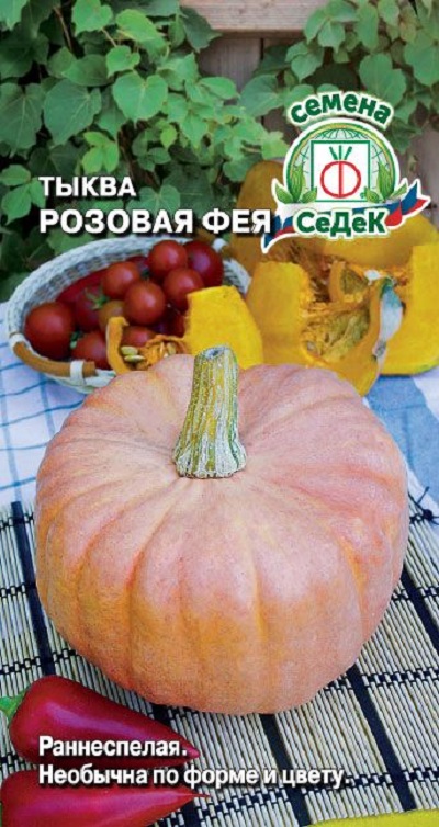 Семена Тыква Розовая Фея (Седек)