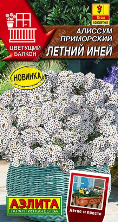 Семена Алиссум Летний иней (Аэлита)